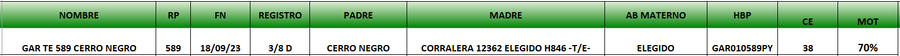 Lote LOTE 37