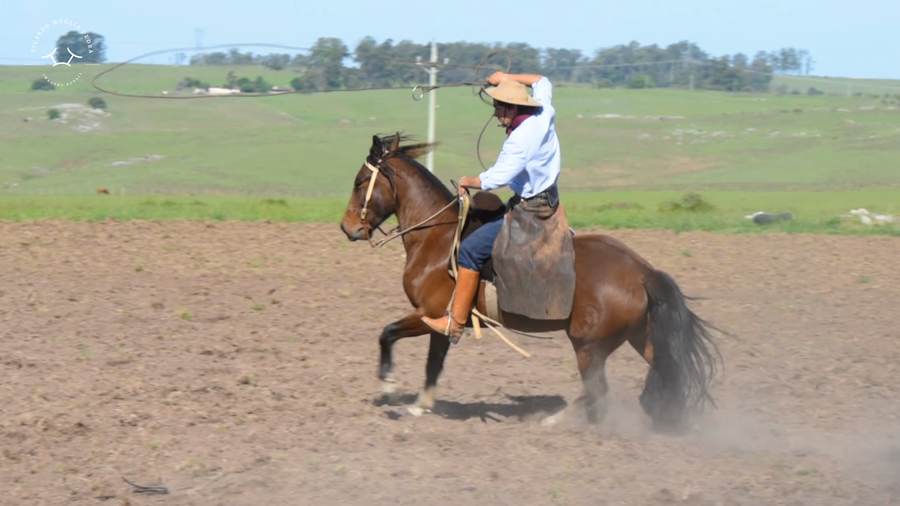 Lote El Gavilán Nutria Mansa (RP 446) Cabaña "El Gavilán"