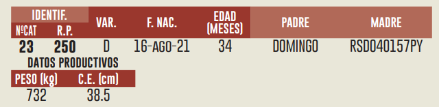 Imagen 2 del Lote Lote LOTE 21
