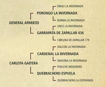 Lote Ginebra gaitera