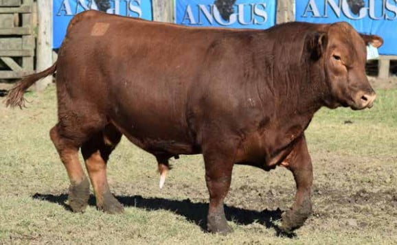 Lote CABAÑA "COEMBOTA" DE CALDERÓN RP 163