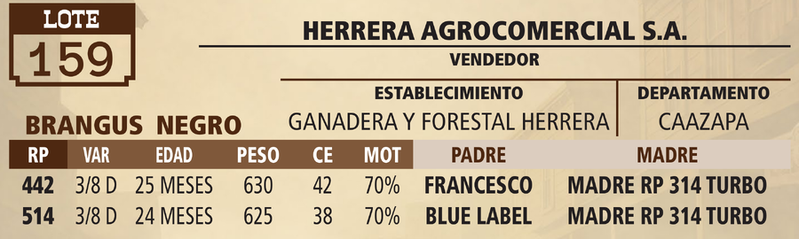 Lote LOTE 159 - VIVO