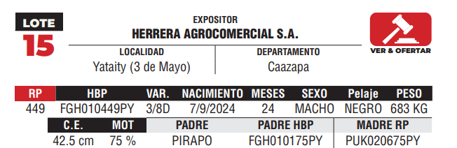 Lote LOTE 15 - DE CAMPO