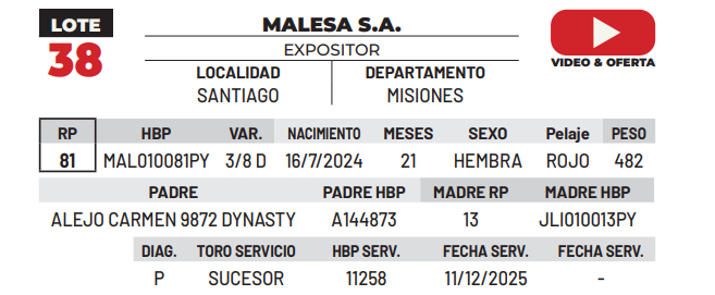 Lote LOTE 38 -DE CAMPO