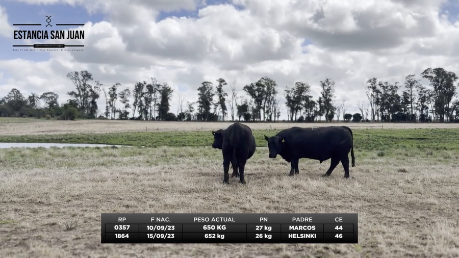 Lote Lote 2 - Estancia San Juan