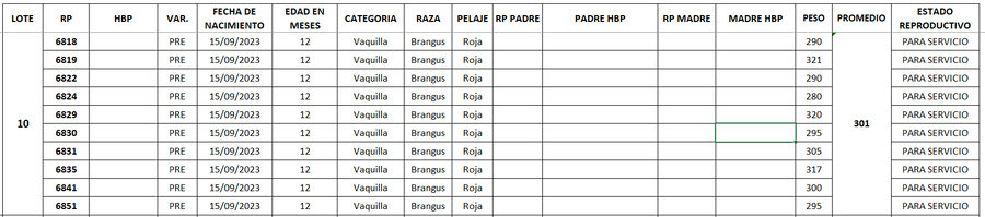 Lote LOTE 10