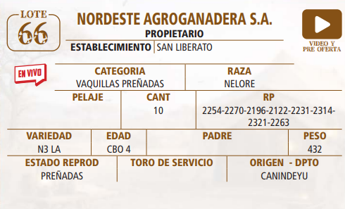 Lote LOTE 66 -EN VIVO