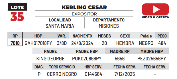 Lote LOTE 35 -DE CAMPO