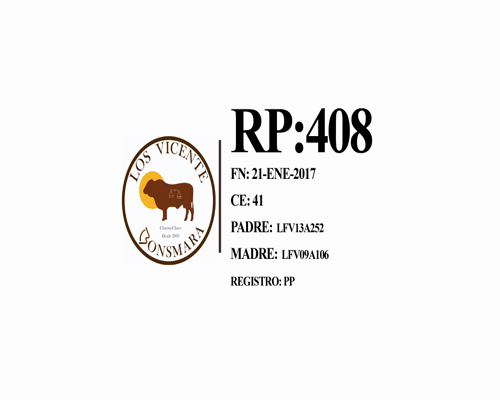 Lote Toro Cabaña Los Vicente (RP408)