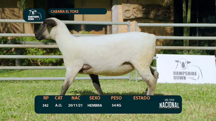 Lote LOTE 4 - CABAÑA EL TOKE - RP 342