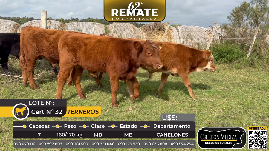 Lote 7 Terneros en Paso del Bote. A 5 km de Los Cerrillos, Canelones