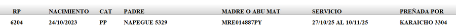 Lote LOTE 30