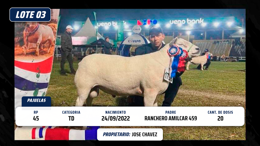 Lote LOTE 3