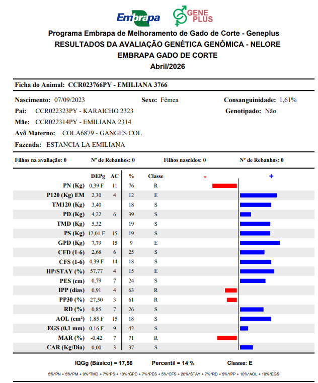 Lote LOTE 22