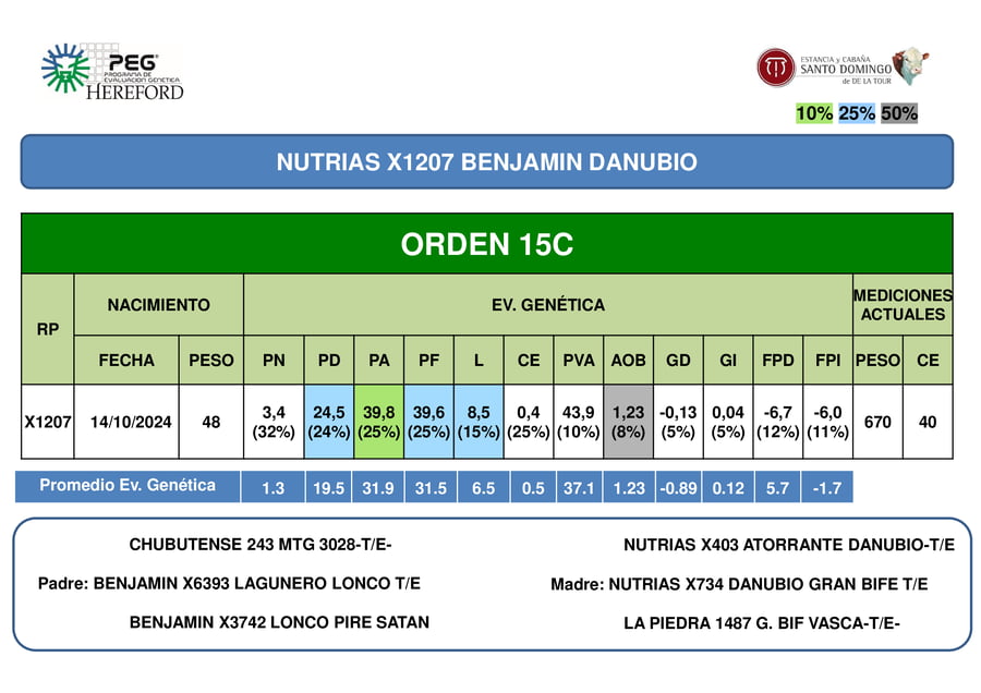 Lote ORDEN 15 TOROS PP