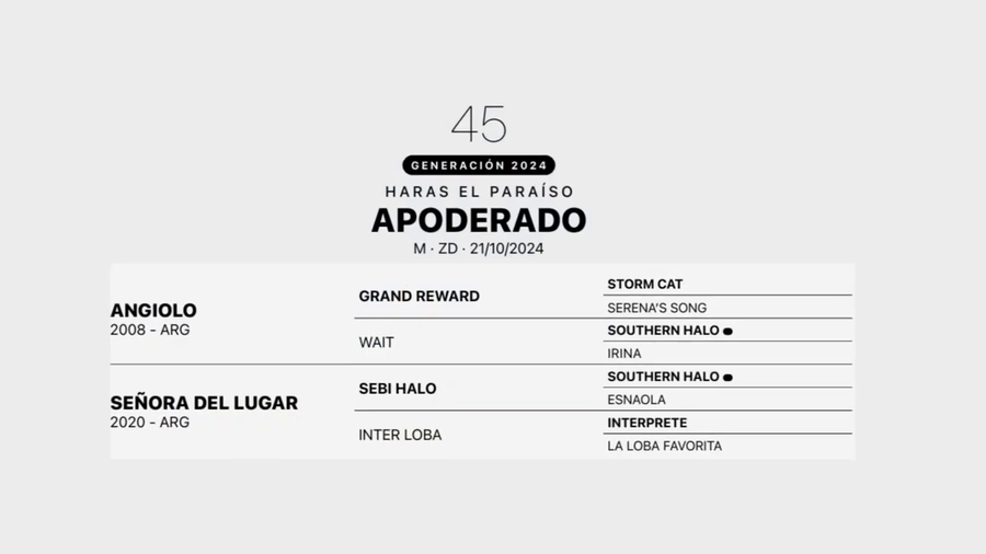 Lote APODERADO