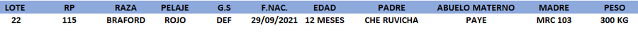 Lote LOTE 22