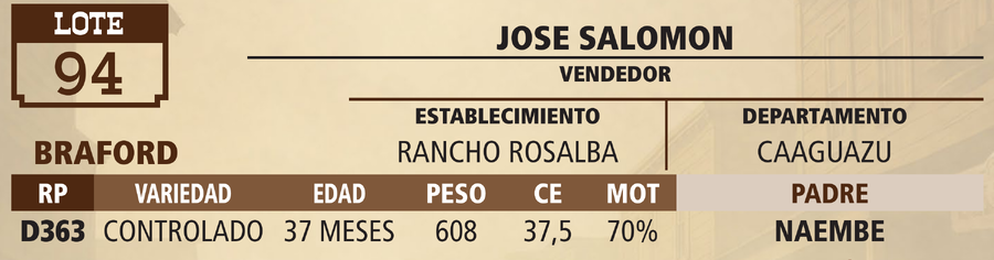 Lote LOTE 94 - VIVO