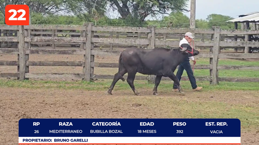 Imagen 1 del Lote Lote LOTE 22