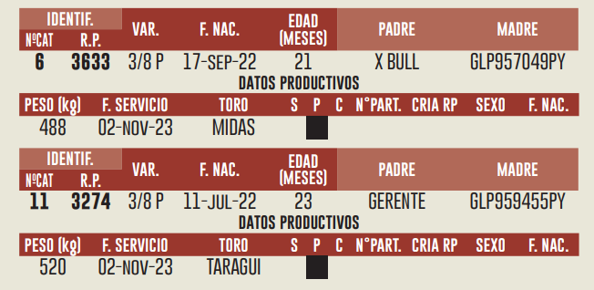 Lote LOTE 1