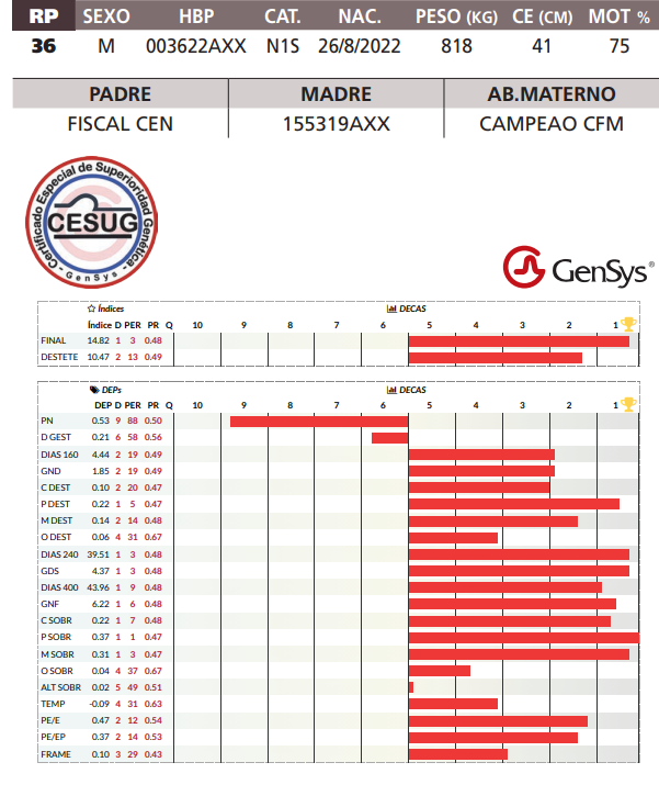 Lote LOTE 20