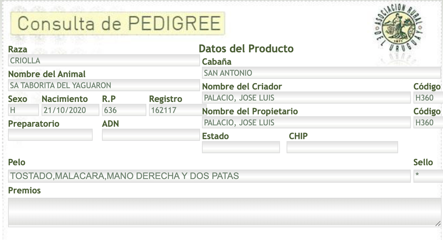 Lote SA Taborita Del Yaguaron