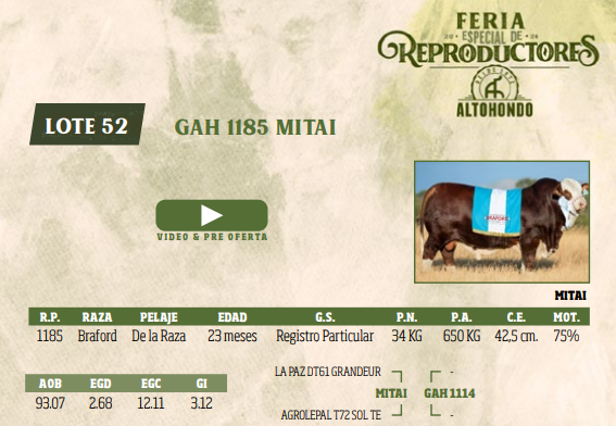 Lote LOTE 52