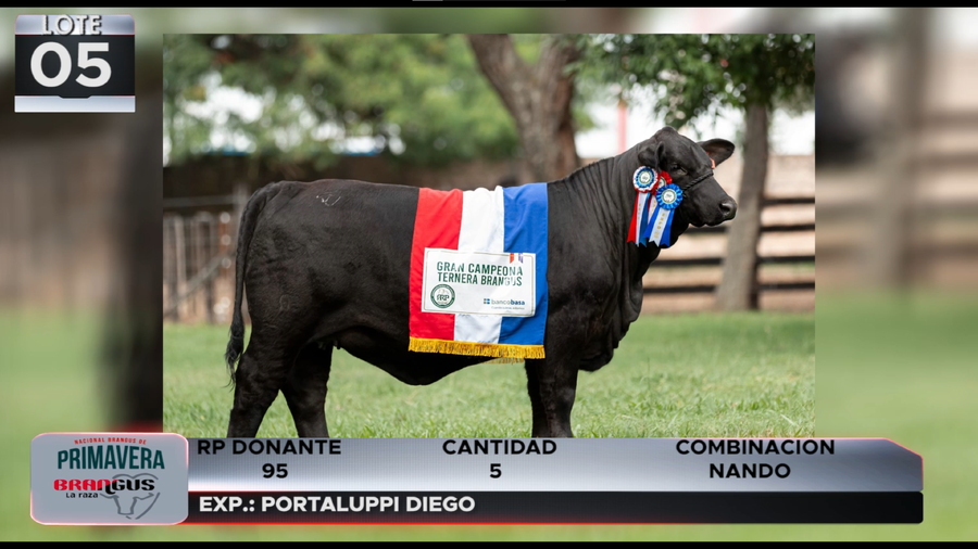 Lote LOTE 5