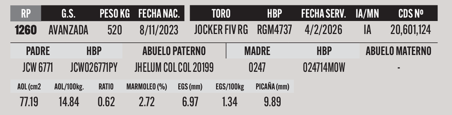 Lote LOTE 20