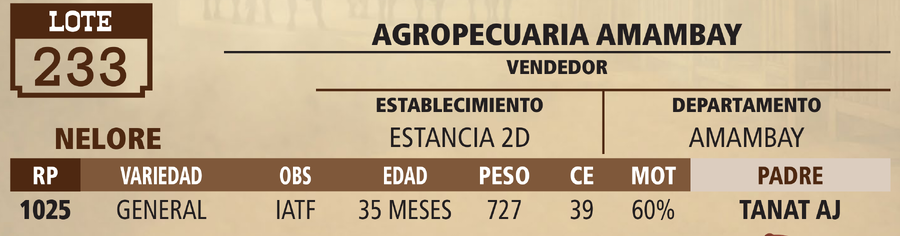 Lote LOTE 233 - VIVO