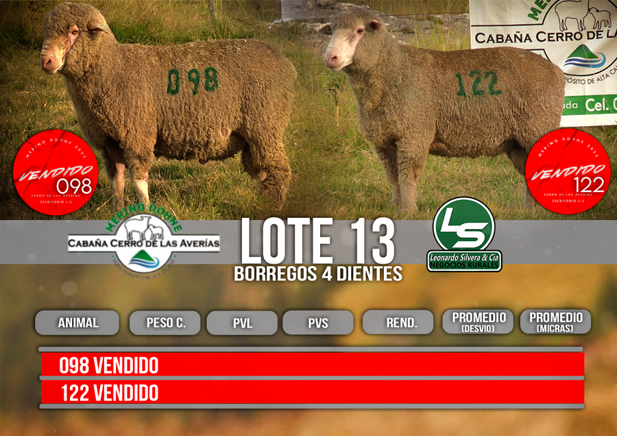 Lote LOTE 13
