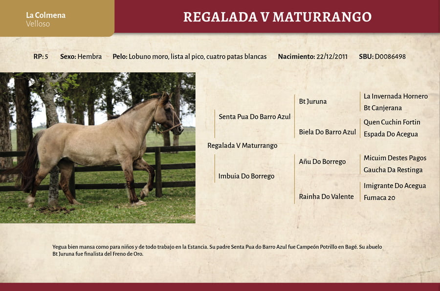 Lote Regalada V Maturrango (RP 05) - Cabaña "La Colmena"