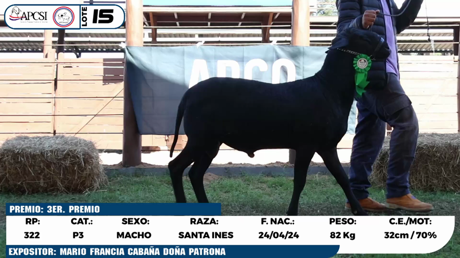 Lote LOTE 15