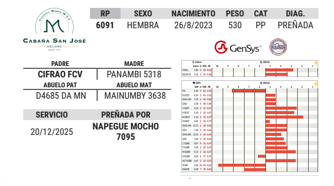 Lote LOTE 12