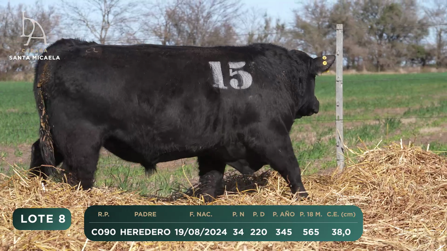 Lote TOROS PC a CAMPO con DEPs