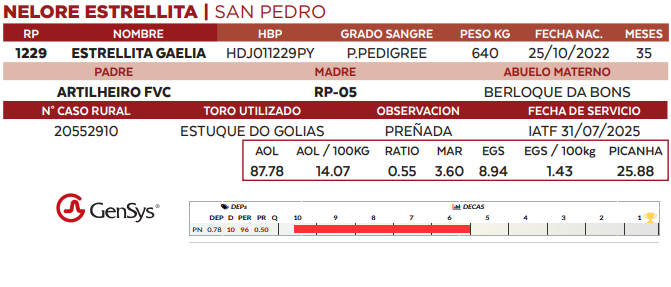 Lote LOTE 35