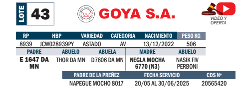 Lote LOTE 43- POR PANTALLA