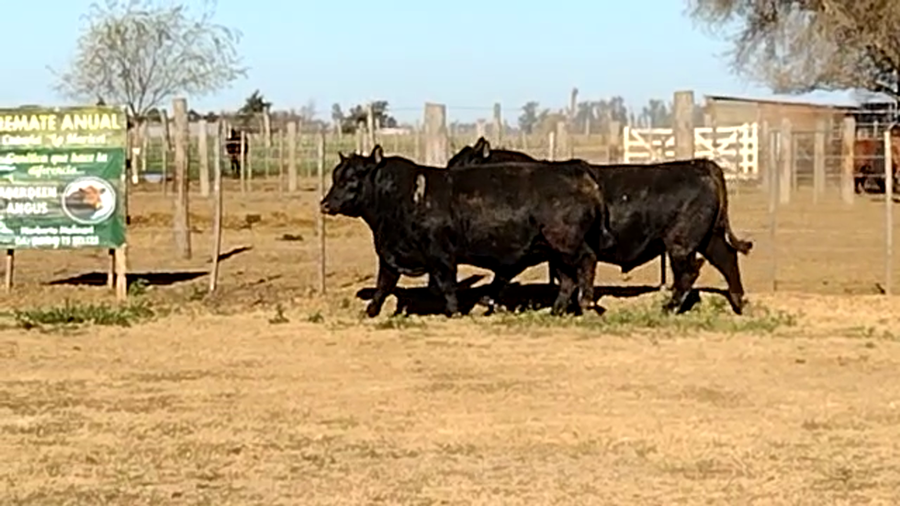 Lote CABAÑA LA MARICEL
