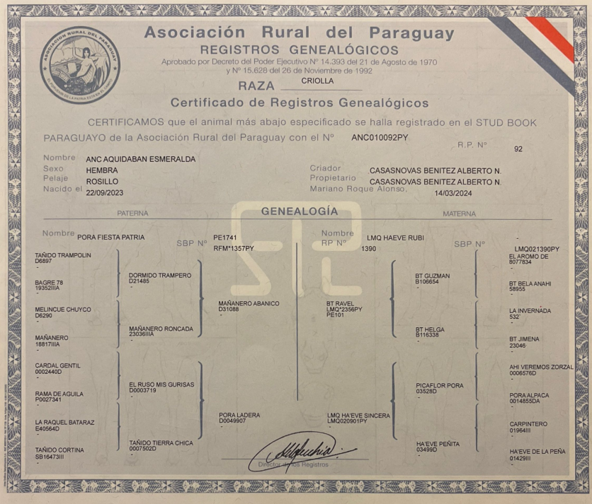 Lote LOTE 18 - DE CAMPO