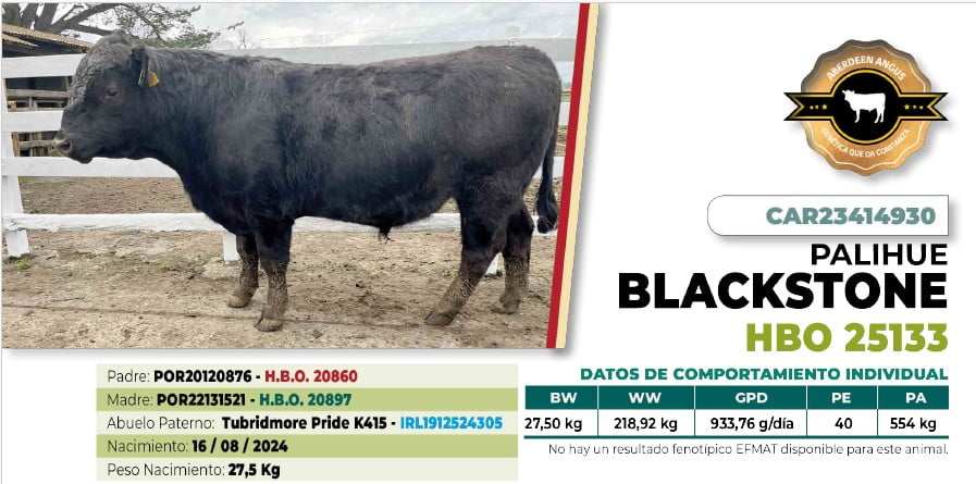 Lote 1 Toro BLACKSTONE DIIO 4930