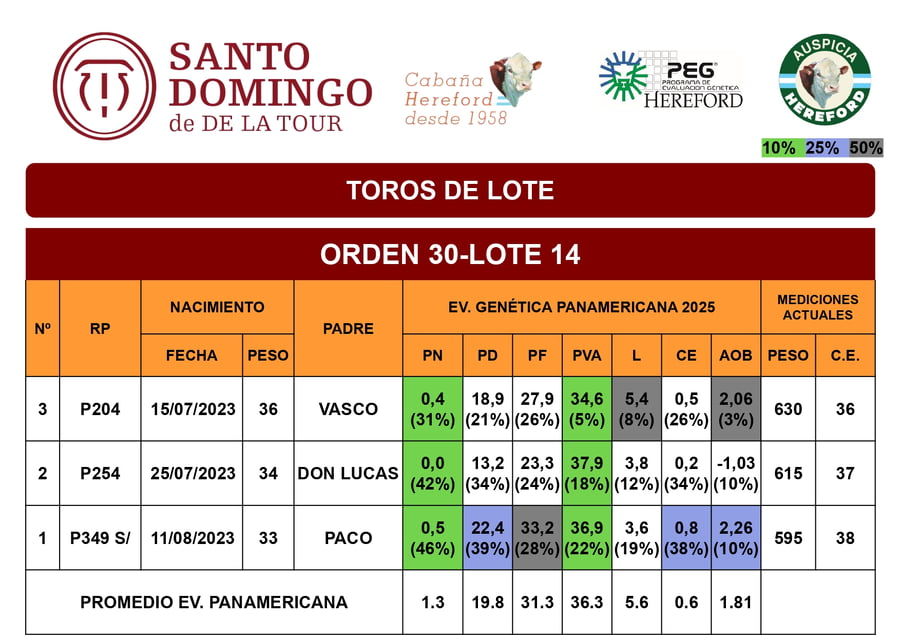 Lote Toros de Lote