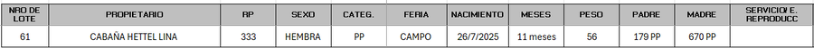 Lote LOTE 61 - CAMPO