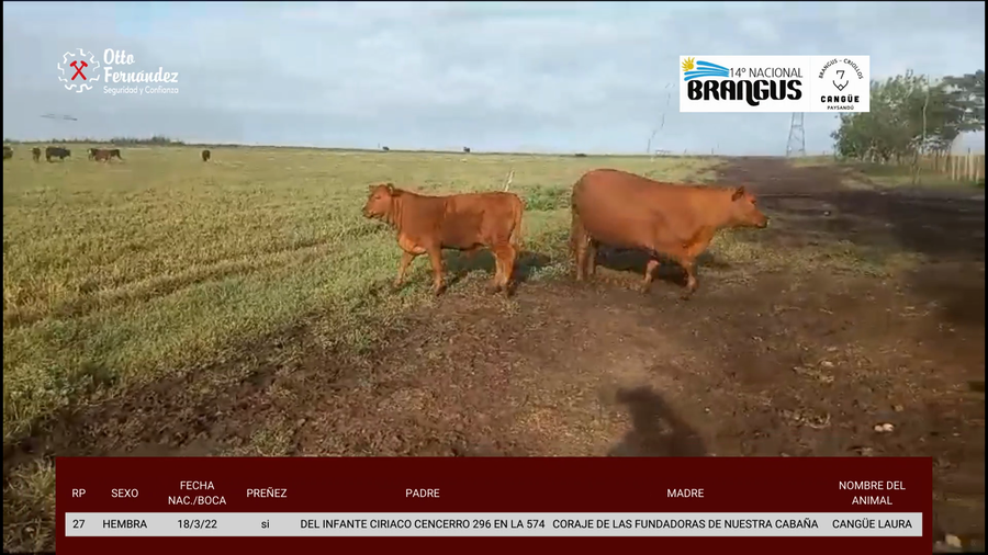 Lote Cabaña Cangüe