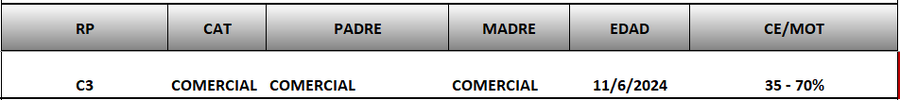 Lote LOTE 85