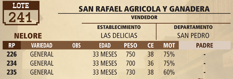 Lote LOTE 241 - VIVO