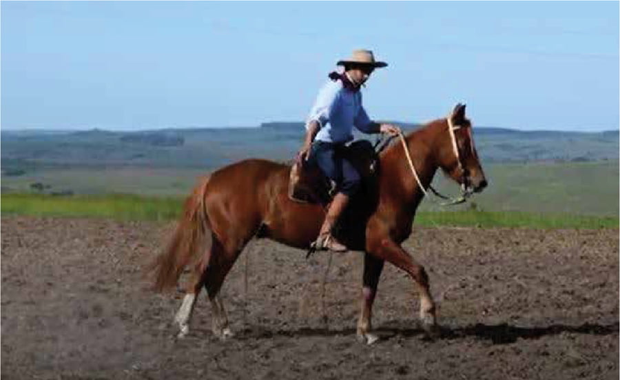 Lote El Gavilan Mete Miedo (RP 408) Cabaña "El Gavilán"