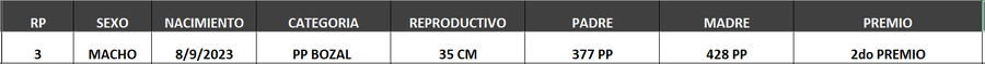 Lote LOTE 32- BOZAL