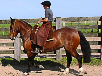 Lote Republica Santa Carmen