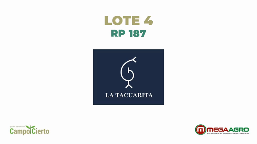 Lote LA TACUARITA
