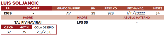 Lote LOTE 59